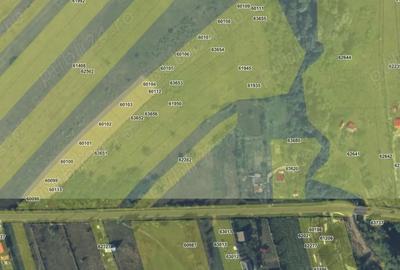 Teren de 7500 mp, în Poieni - 1