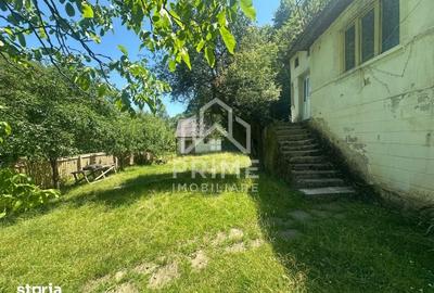 Casă cu 3 camere cu Teren 25000 Mp în Central - 2