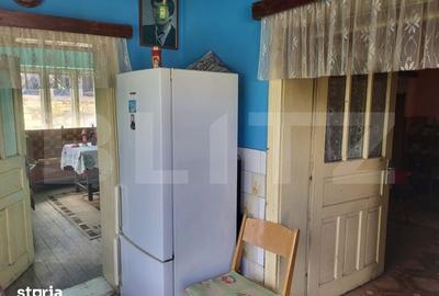 Casă cu 3 camere cu Teren 4200 Mp în Mihai Viteazu - 5