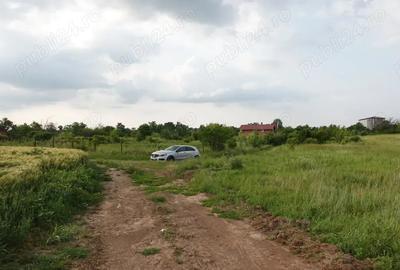 Teren de 10100 mp, în Tâncăbești - 2