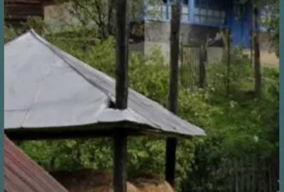 Casă cu 3 camere în Bistra - 4