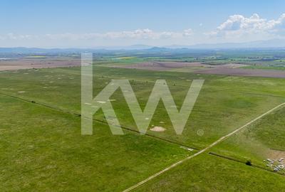 Teren agricol extravilan de 4700 mp, în Codlea - 11