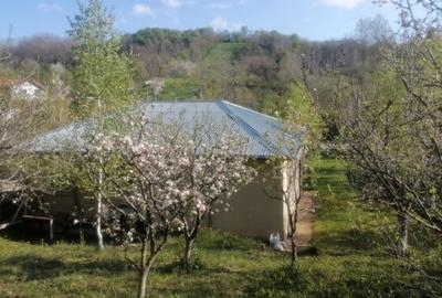 Casă cu 4 camere cu Teren 2134 Mp în Răzvad