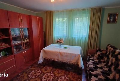 Casă cu 4 camere cu Teren 705 Mp în Copăcel - 9