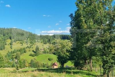 Teren de 2500 mp, în Central