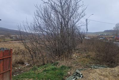 Teren de 4000 mp, în Schitu Duca - 8