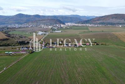 Teren agricol intravilan de 10000 mp, în Gârcina - 6