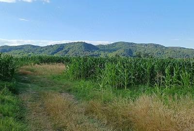 Teren de 1000 mp, în Copăcelu