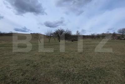 Teren de 2800 mp, în Central