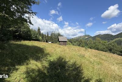 Teren de 5620 mp, în Pojorâta