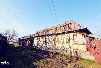 Casă cu 3 camere cu Teren 2003 Mp în Criș - 1