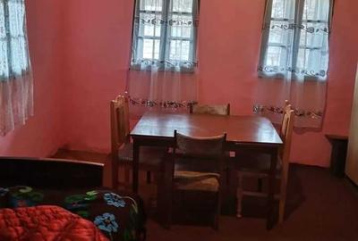 Casă cu 2 camere în Șincai - 4