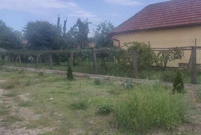 Teren de 8594 mp, în Runcu - 3