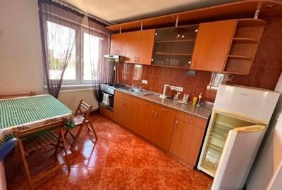 Apartament cu 2 camere, mobilat în Aradului - 6