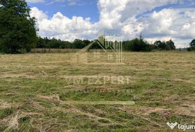 Casă cu 3 camere cu Teren 6997 Mp în Bughea de Sus - 4