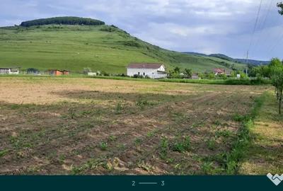Teren de 2900 mp, în Fizeșu Gherlii