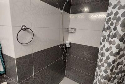 Apartament cu 2 camere semidecomandat în Valea Rosie