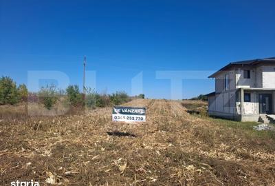 Teren de 5000 mp, în Văcărești