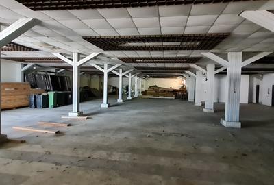 Spațiu industrial, de 3,000 mp, în Sântuhalm