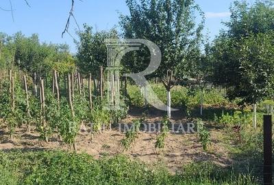 Casă cu 3 camere cu Teren 1100 Mp în Brusturi - 1