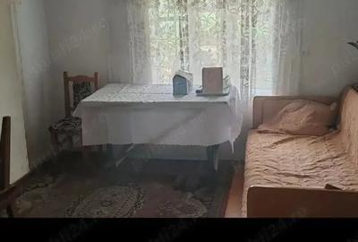 Casă cu Teren 2000 Mp în Central