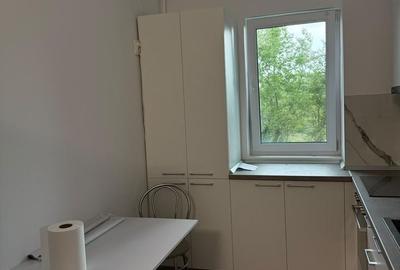 Apartament cu 2 camere decomandat, mobilat în Theodor Pallady - 10