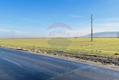 Teren agricol de 5000 mp, în Vulcan - 1