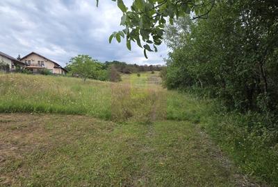 Teren de 500 mp, în Mușcel