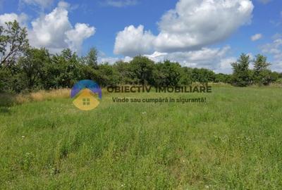 Teren Construcții intravilan de 5654 mp, în Dragomirești - 19