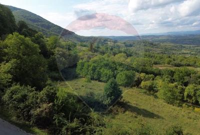 Teren Construcții de 5000 mp, în Măgureni - 9