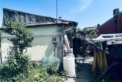 Teren de 450 mp, în Andronache - 6
