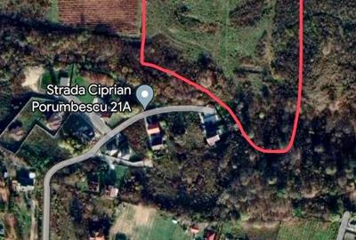 Teren de 40000 mp, în Bucium