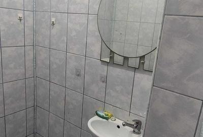 Garsonieră decomandată în Crâng - 2