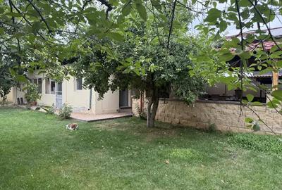 Casă cu 5 camere cu Teren 747 Mp în Urziceni - 3