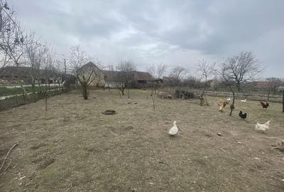 Casă cu 4 camere în Buteni - 1