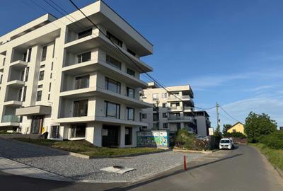 Spațiu comercial, de 176 mp, în Valea Lupului - 1
