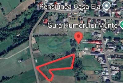 Teren de 3000 mp, în Curtești - 6