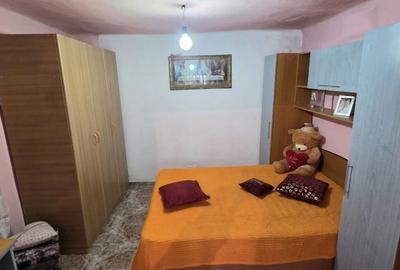 Casă individuală cu 3 camere cu Canalizare în Alexandriei - 9