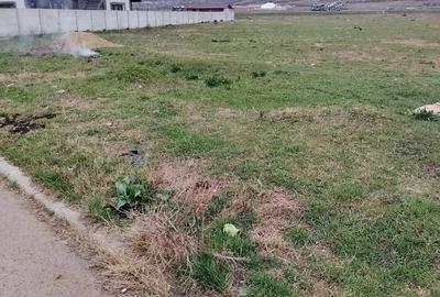 Teren de 3000 mp, în Schela - 2