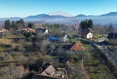 Casă individuală cu 7 camere cu Teren 3580 Mp în Tohănița - 31
