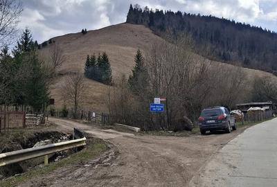 Teren de 716 mp, în Poiana Teiului - 1