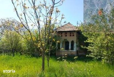 Casă cu 1 camere cu Teren 1400 Mp în Devesel - 6