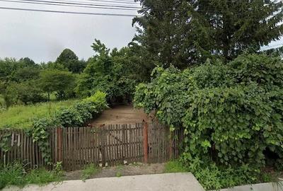 Teren de 2500 mp, în Colanu - 3