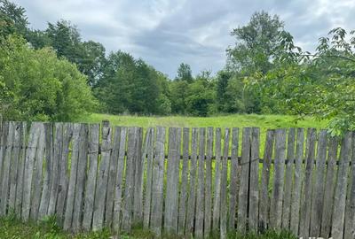 Teren de 700 mp, în Bălțățeni - 4