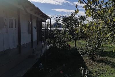 Casă cu Teren 2436 Mp în Cotu Ciorii