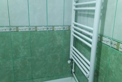 Garsonieră semidecomandată în Brazda lui Novac - 8