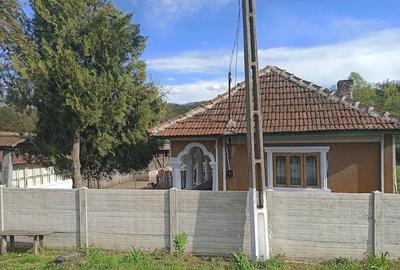 Casă cu Teren 2480 Mp în Păltinișu