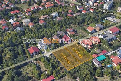 Teren Construcții intravilan de 1154 mp, în Iancu Nicolae