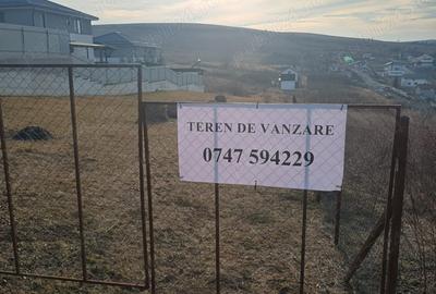 Teren în Dezmir - 6