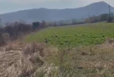Teren de 2300 mp, în Viișoara - 5
